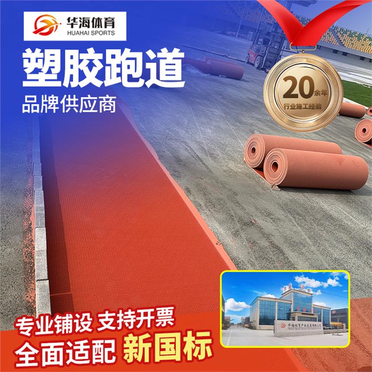 安阳市半预制跑道硅PU篮球场 - 厂家
